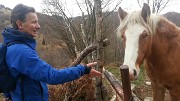 Monte San Primo dalla Colma di Sormano – sabato 21 novembre 2015 - FOTOGALLERY